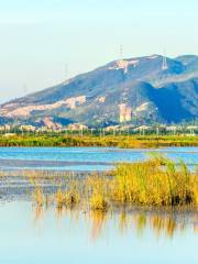 Xinhui Yinhuwan Wetland Park