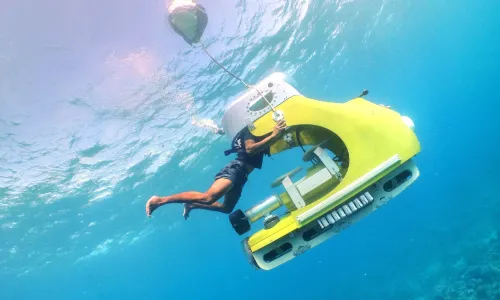 Blue Safari Submarines