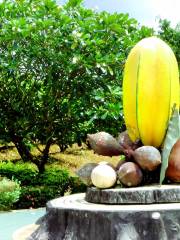 泰國熱帶水果園
