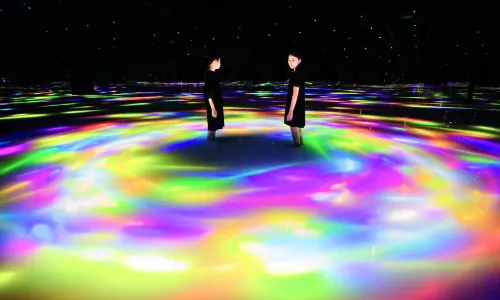 TeamLab Planets TOKYO