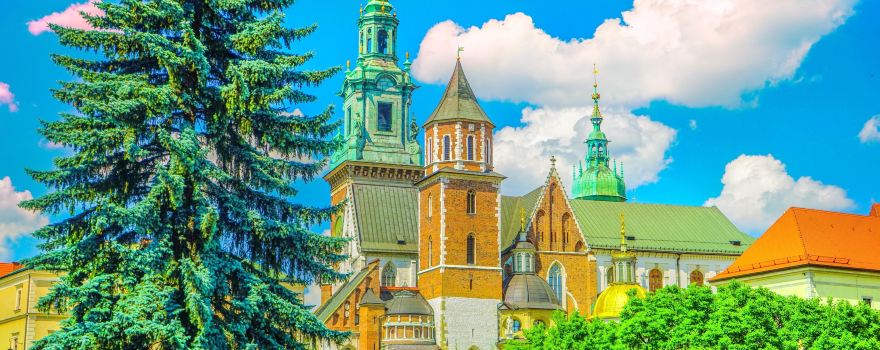 Château roya du Wawel