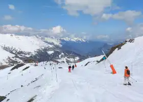 Международное лыжное поле сосны