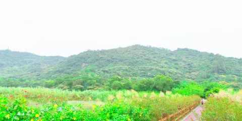 黃山魯森林公園