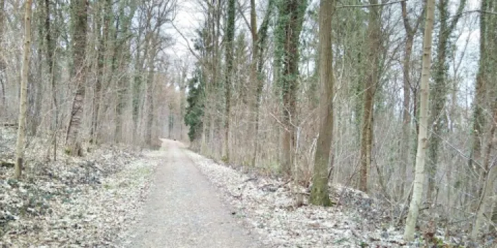 Naturschutzgebiet Unteres Feuerbachtal mit Hangwaldern und Umgebung