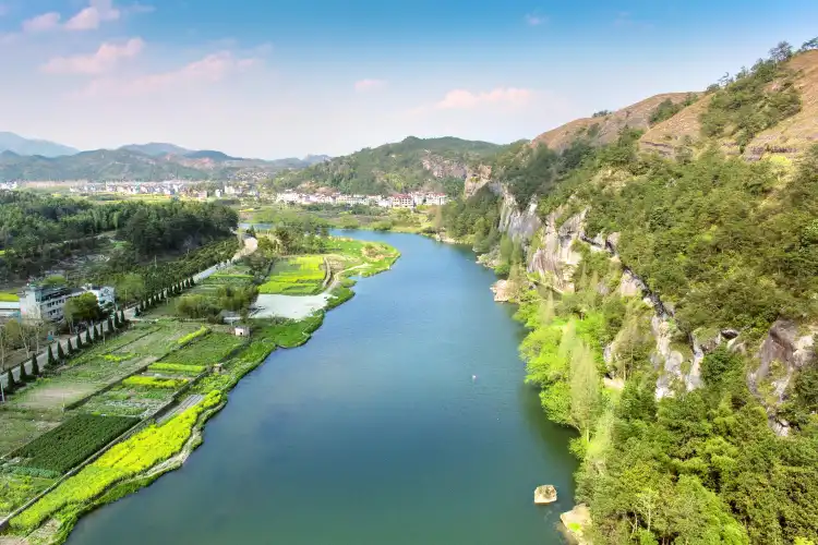 Floral Hotels in Jinyun