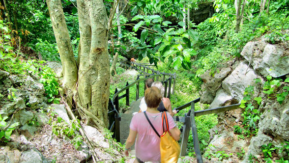 Varahicacos Ecological Reserve