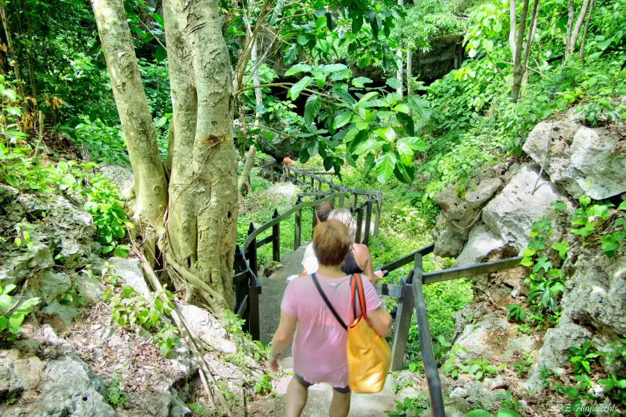 Varahicacos Ecological Reserve