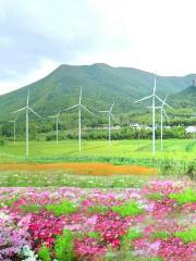 Taiji Wuse Valley