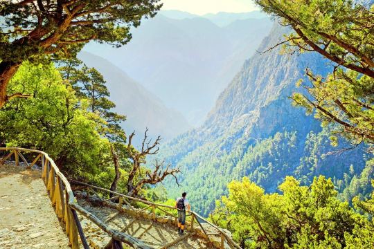 Samaria Gorge