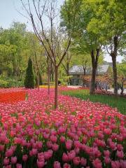 Huaxide Park