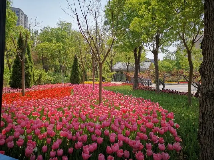 화시디 공원