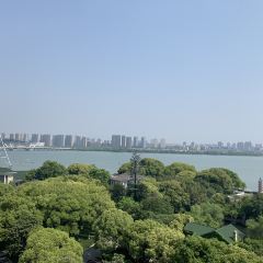 君來湖濱飯店悅吧張用戶圖片