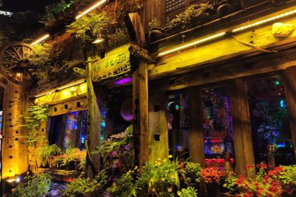 THE FOREST LIVE MUSIC