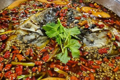 鼎味·美蛙麻椒鱼(南湖逸家店)