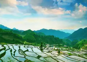 สนามบันไดโอเจีย