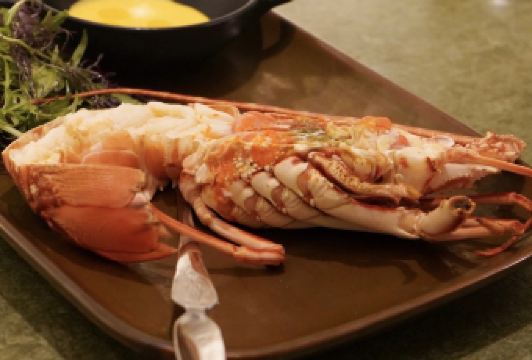 Bluebird Chelsea User Photo