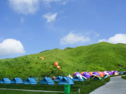 Mandarin Duck Meadow