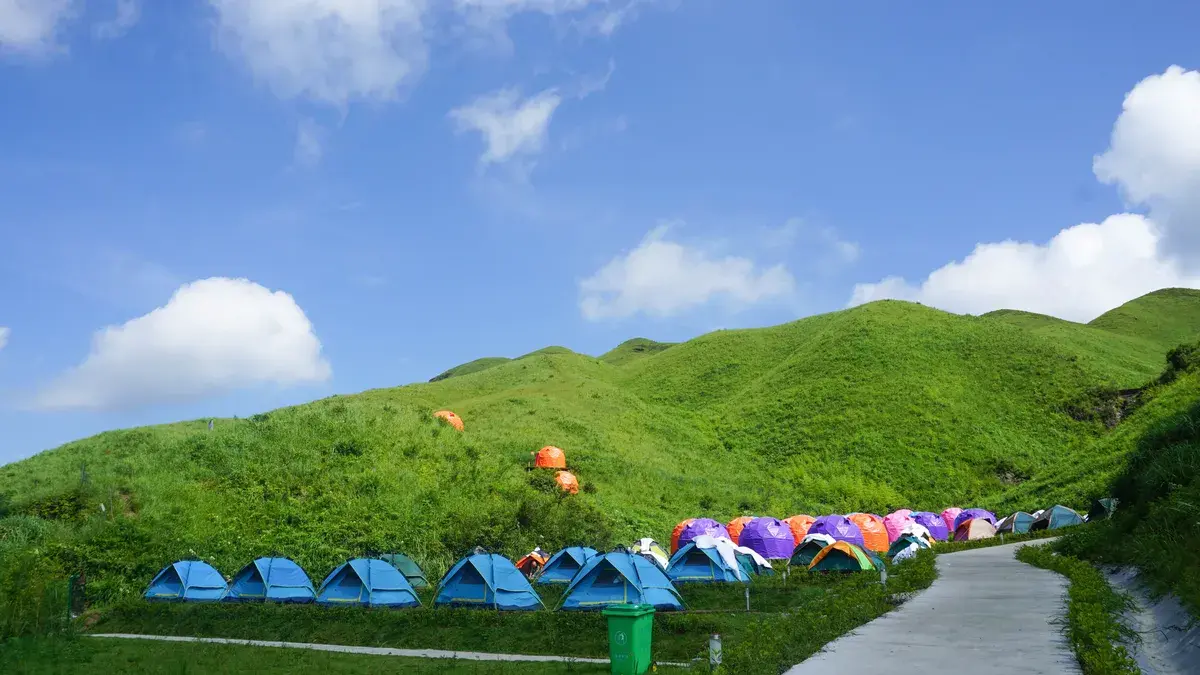 柘榮鴛鴦草場