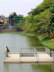 Dhanmondi Lake