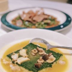 Moose (Pudong) User Photo