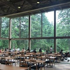 Nipulisenlin Restaurant User Photo