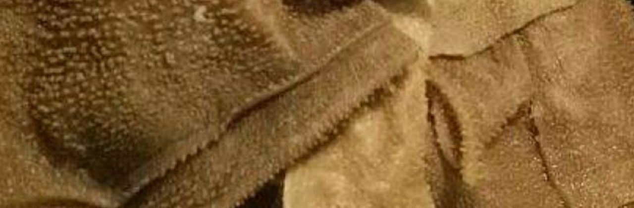 潮牛壹号鲜牛肉火锅(洪湖购物公园店)