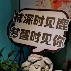 鹿森书店(上下杭店) User Photo