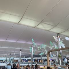 Wondertree User Photo