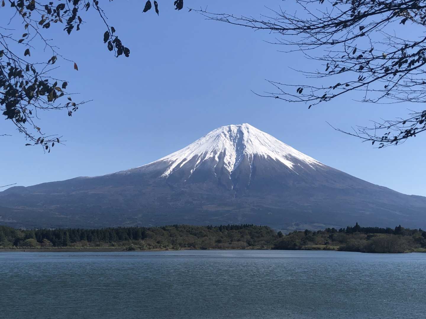 Lake Tanuki Travel Guidebook Must Visit Attractions In Mount Fuji Lake Tanuki Nearby Recommendation Trip Com