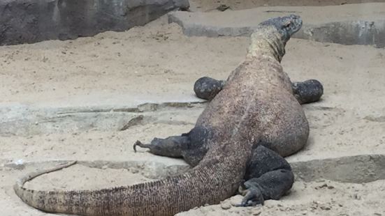 タマンサファリ動物園 インドネシア の写真 ボゴールの観光スポットの写真 Tripメモリー タマンサファリ動物園 インドネシア の写真 ボゴールの観光スポットの写真 Tripメモリー