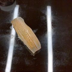 Ginza Harutaka User Photo