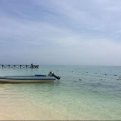 Department of Chemistry Bar - JW Marriott Phu Quoc Emerald Bay Resort & Spa User Photo