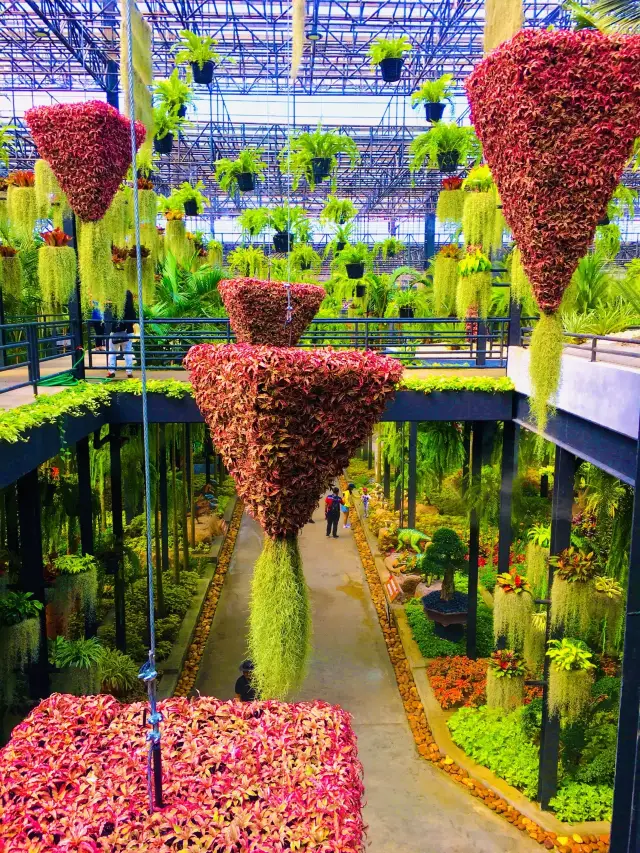 救命呀！我哋被困喺呢個巨大嘅花園入面。