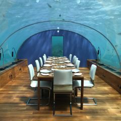 ITHAA UNDERSEA RESTAURANT ảnh của người dùng