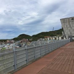 八鬥子阿龍海鮮餐廳 User Photo