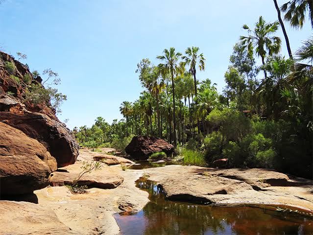 Finke Gorge National Park