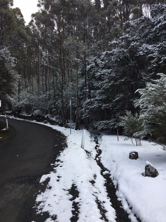 웰링턴 산