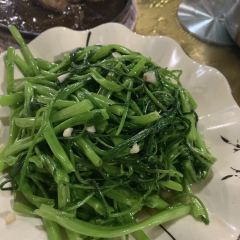 YING DAN YUAN NONG ZHUANG User Photo