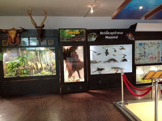 Princess Maha Chakri Sirindhorn Natural History Museum
