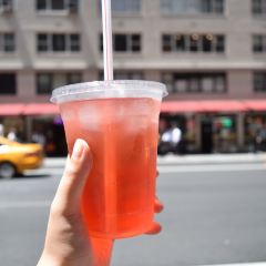 Little Collins User Photo