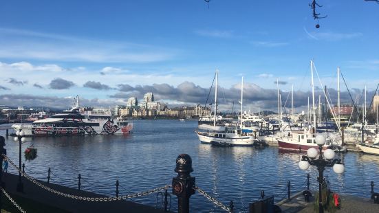 如詩如畫的Inner harbour，停泊着許多Victor