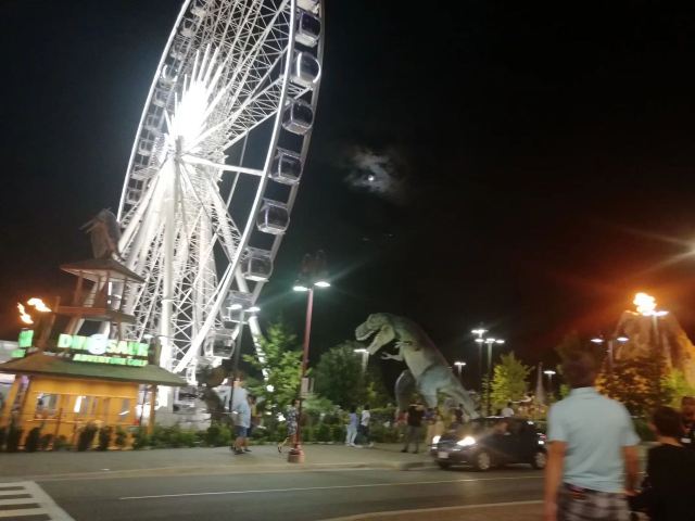 Niagara Skywheel