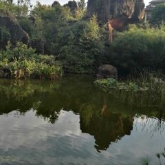 石林杏林大观园樱花峪药膳坊餐厅 User Photo