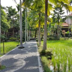 Bebek Bengil Ubud User Photo