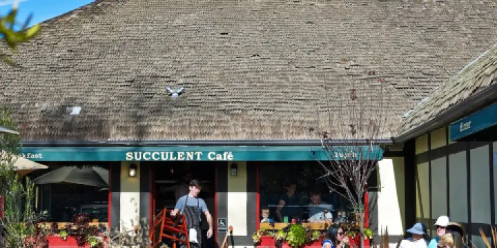 Succulent Cafe