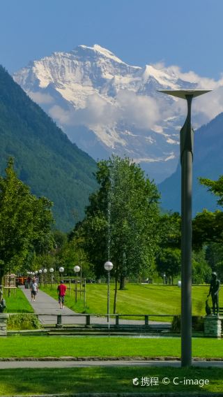 Schynige Platte + Harder Kulm + Hohematte + Hoheweg + Alpine Garden