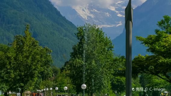 Gunung Schneig + Harder Kulm + Holheimat + Herwegstraße + Taman Botani Alpine