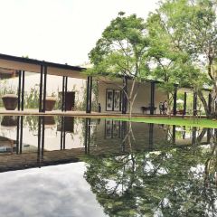 BODHI TERRACE User Photo