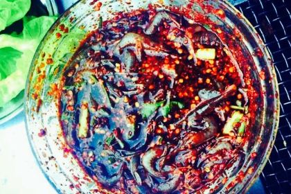 MIAN NING HUO PEN SHAO KAO