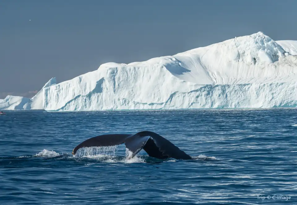 3_Ilulissat Icefjord UNESCO World Heritage Area